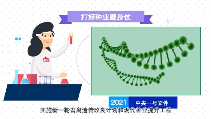 全面鄉村振興總動員！動畫解讀2021中央一(One)号文件